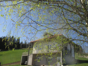 Гостиница Guesthouse Borovi  Брдо